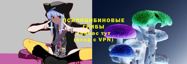 хмурый Богородицк