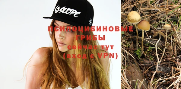 хмурый Богородицк